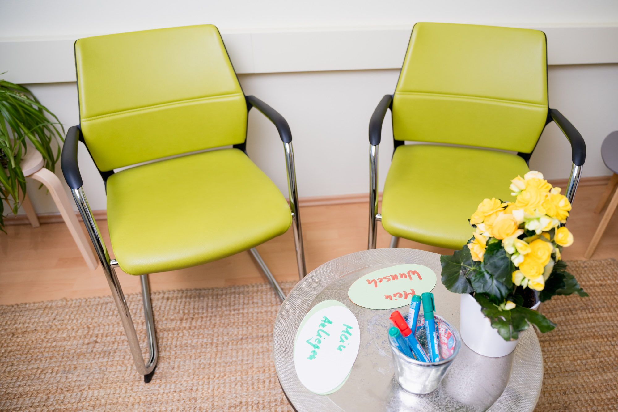 Harald OrgaisationsMediation